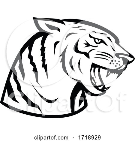 Head of Bengal Tiger Growling Side Woodcut Retro Black and White by patrimonio