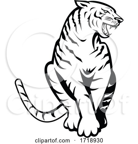 Bengal Tiger Growling Sitting Front Woodcut Retro Black and White by patrimonio