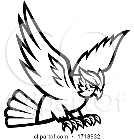 Great Horned Owl Swooping Right Mascot Black and White by patrimonio
