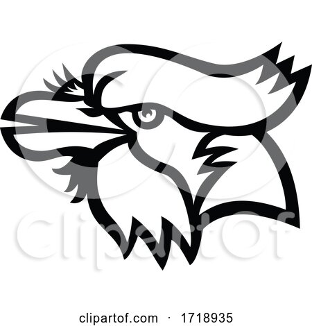 Head of Blue Jay Head Mascot Black and White by patrimonio