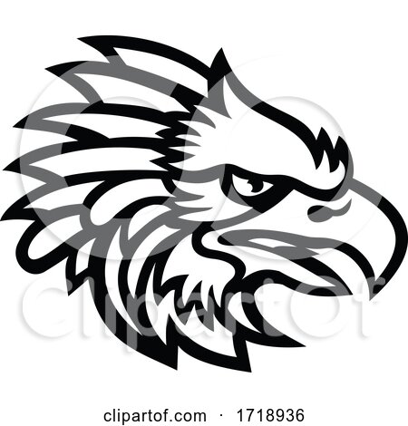 Head of an American Harpy Eagle Side View Mascot Black and White by patrimonio