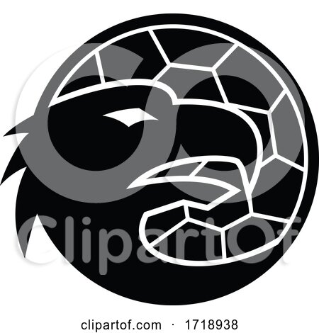 Head of European Eagle Inside Handball Ball Mascot Black and White by patrimonio