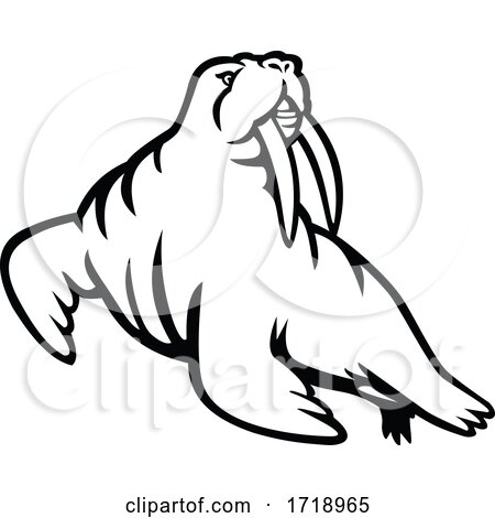 Long tusked Atlantic or Pacific Walrus Mascot Black and White by patrimonio