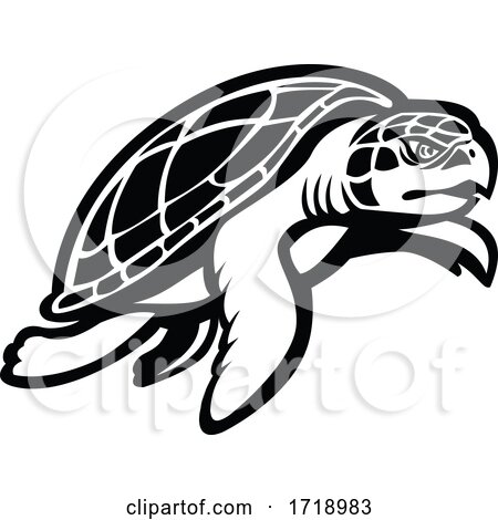 Kemp's Ridley Sea Turtle Swimming to Right Mascot Black and White by patrimonio