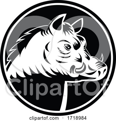 Razorback Wild Hog Feral Pig Head Woodcut Black and White Circle by patrimonio