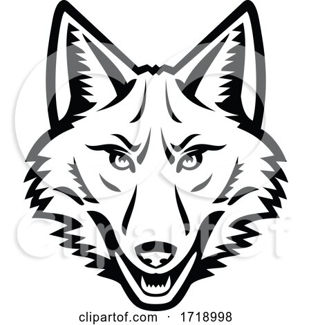 Head of a Coyote Front View Mascot Black and White by patrimonio