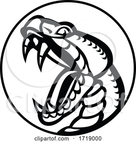 Aggressive Copperhead Snake Baring Fangs Mascot Black and White by patrimonio