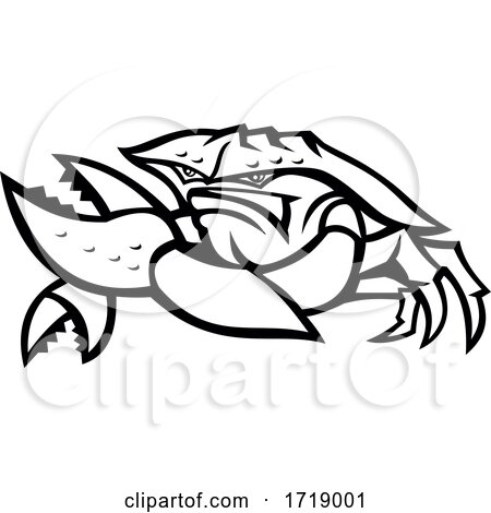Angry Red King Crab Mascot Black and White by patrimonio