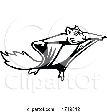 Northern Flying Squirrel Mascot Black and White by patrimonio