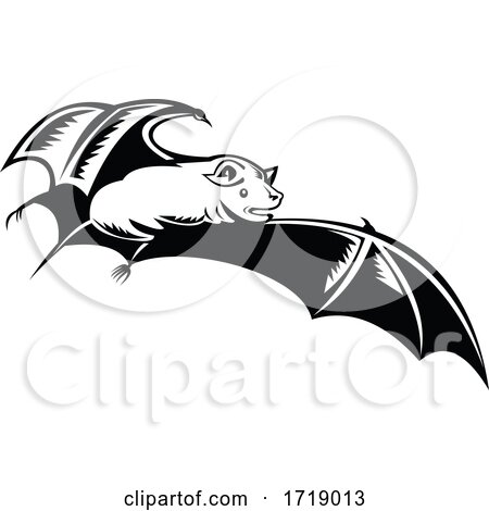 Megabat Fruit Bat Old World Fruit Bat or Flying Fox in Flight Woodcut Retro Black and White by patrimonio