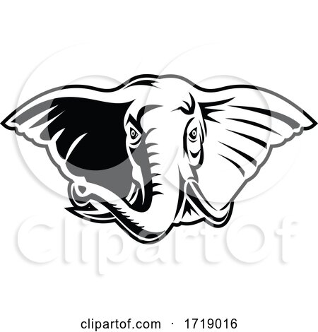 Elephant with Long Tusks Head Front Mascot Retro Black and White by patrimonio