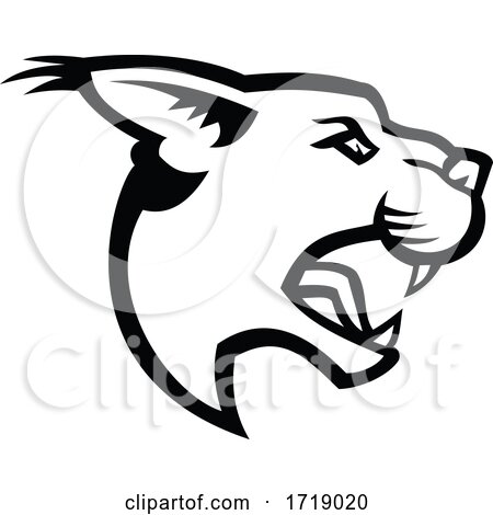Head of Angry Caracal Side Mascot Black and White by patrimonio