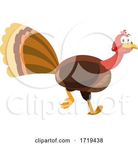 Turkey Bird by Hit Toon