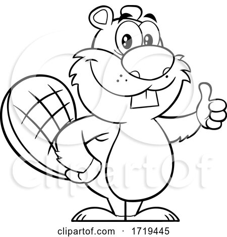 Cartoon Black and White Beaver Mascot Giving a Thumb up by Hit Toon