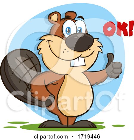 Cartoon Beaver Mascot Giving a Thumb up with OK Text by Hit Toon