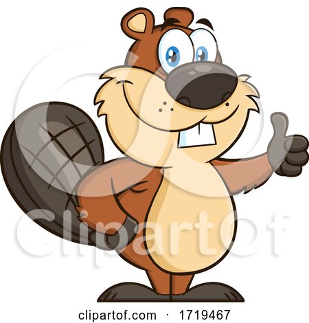 Cartoon Beaver Mascot Giving a Thumb up by Hit Toon