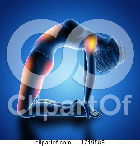 3D Female Figure in Camel Pose with Muscles Used Highlighted by KJ Pargeter