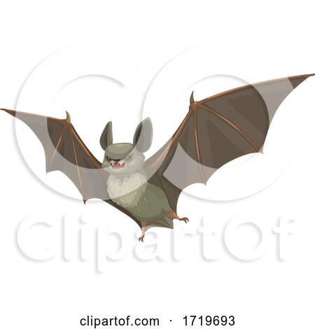 Flying Bat by Vector Tradition SM