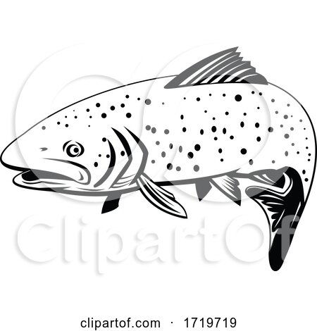 Rainbow Trout Fish Swimming Left Retro Black and White by patrimonio