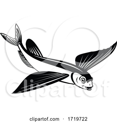 Sailfin Flying Fish or Flying Cod Side View Retro Black and White by patrimonio
