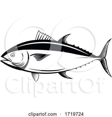 Atlantic Bluefin Tuna Northern Bluefin Tuna Giant Bluefin Tuna or Tunny Side Retro Black and White by patrimonio