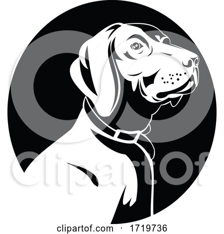 Head of a German Shorthaired Pointer Dog Retro Black and White by patrimonio