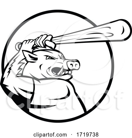 Razorback Wild Boar or Hog with Baseball Bat Batting Circle Mascot Black and White by patrimonio
