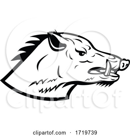 Wild Boar Wild Swine Common Wild Pig Head Side Mascot Black and White by patrimonio