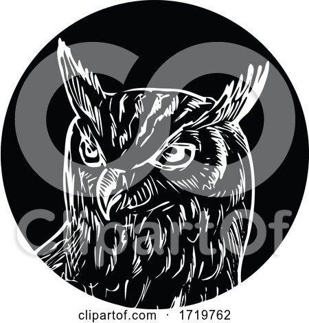 Head of Great Horned Owl Woodcut Retro Black and White by patrimonio