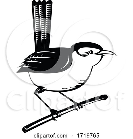 Wren Brown Passerine Bird Perching on Branch Retro Black and White by patrimonio