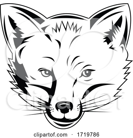 Red Fox Head Viewed from Front Retro Black and White Style by patrimonio
