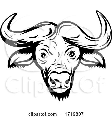 Head of an African Buffalo or Cape Buffalo Front View Retro Black and White by patrimonio