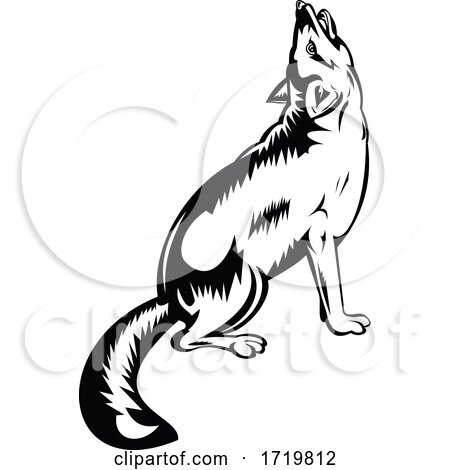 Red Fox Howling Viewed from Side Retro Black and White Style by patrimonio