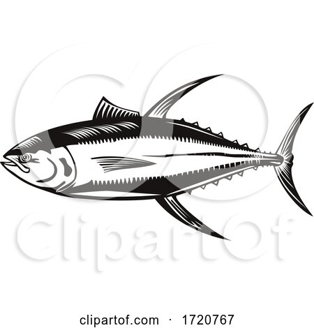 Yellowfin Tuna or Thunnus Albacares Swimming Side Retro Woodcut Black and White by patrimonio