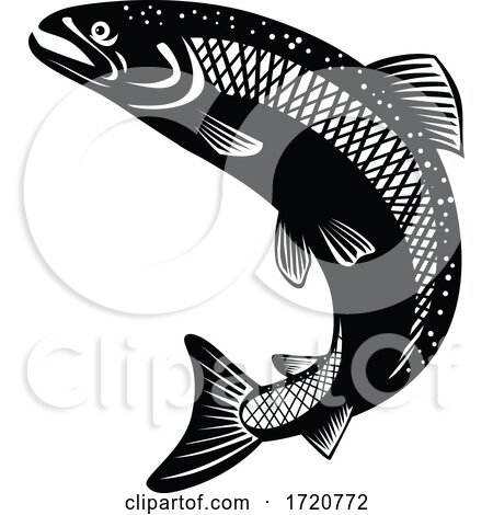 Rainbow Trout Oncorhynchus Mykiss Steelhead Columbia River Redband Trout Jumping Retro Woodcut Black and White by patrimonio