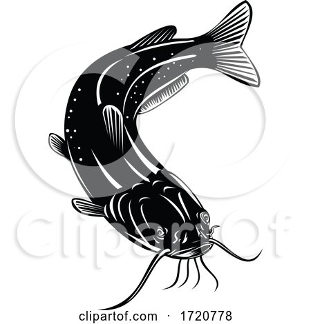 North American Channel Catfish Ictalurus Punctatus or Channel Cat Swimming down Retro Woodcut Black and White by patrimonio