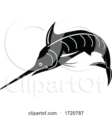 Atlantic Blue Marlin Jumping Upward Retro Woodcut Black and White by patrimonio