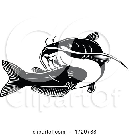 North American Blue Catfish Ictalurus Furcatus Swimming up Retro Woodcut Black and White by patrimonio