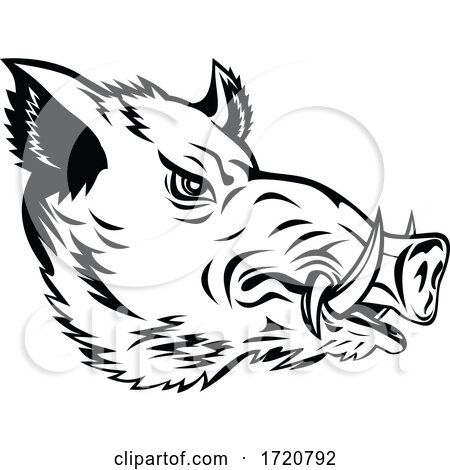 Wild Boar Common Wild Pig or Wild Swine Head Side Mascot Black and White by patrimonio