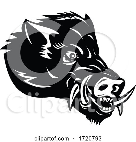 Angry Wild Boar or Common Wild Pig Head Side Mascot Woodcut Black and White by patrimonio