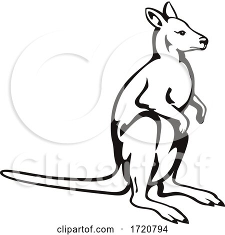 Wallaby or Kangaroo Side View Retro Woodcut Black and White by patrimonio