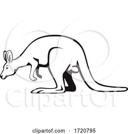 Wallaby or Kangaroo Side View Retro Black and White by patrimonio