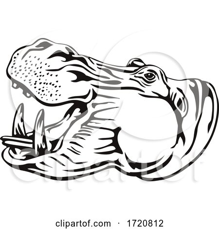 Head of Hippo Common Hippopotamus or River Hippopotamus Side View Retro Woodcut Black and White by patrimonio