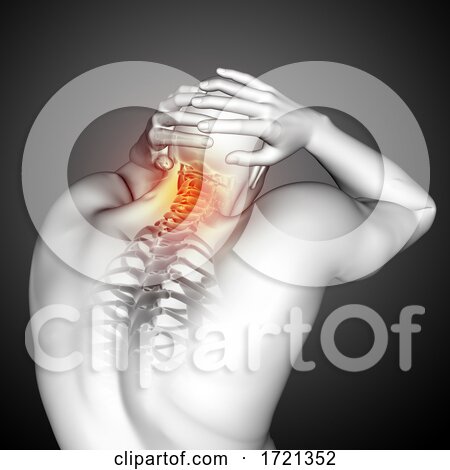 3D Male Medical Figure with Top of Spine Highlighted by KJ Pargeter