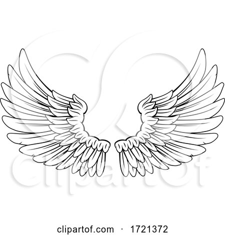 Wings Angel or Eagle Feathers Pair Illustration by AtStockIllustration