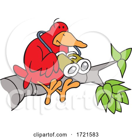 Cartoon Red Bird Holding Binoculars on a Branch by Johnny Sajem