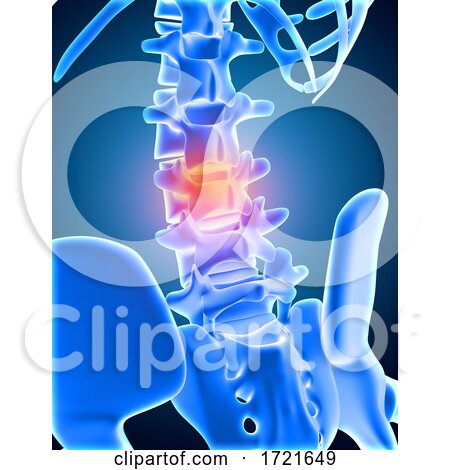 3D Medical Background of Skeleton with Lower Spine Highlighted by KJ Pargeter