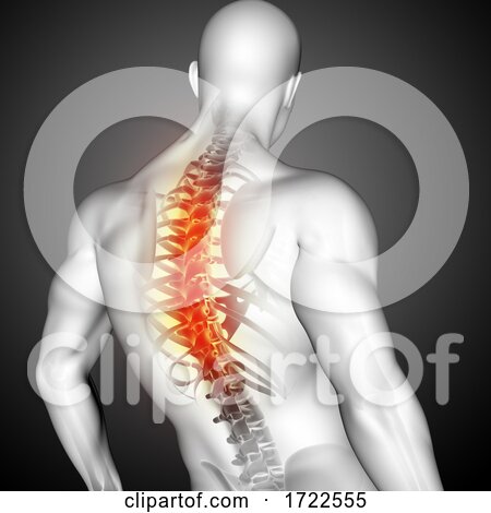 3D Male Medical Figure with Spine Highlighted by KJ Pargeter