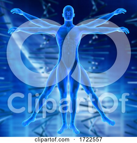 3D Medical Background with Vitruvian Style Male Figure by KJ Pargeter