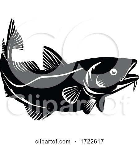 Atlantic Cod or Codling Fish Swimming up Woodcut Black and White by patrimonio